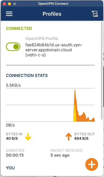 open VPN connect