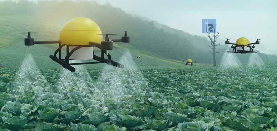 Crop Disease Detection Using Deep Learning